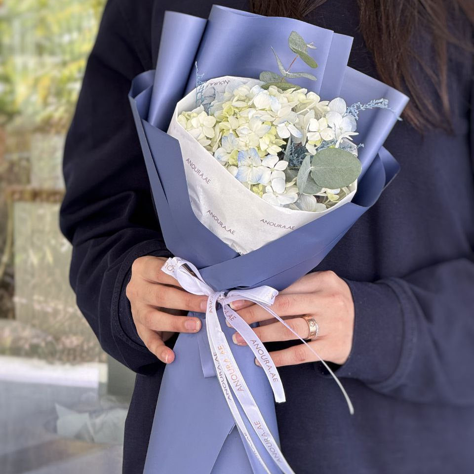 White elegant hydrangea