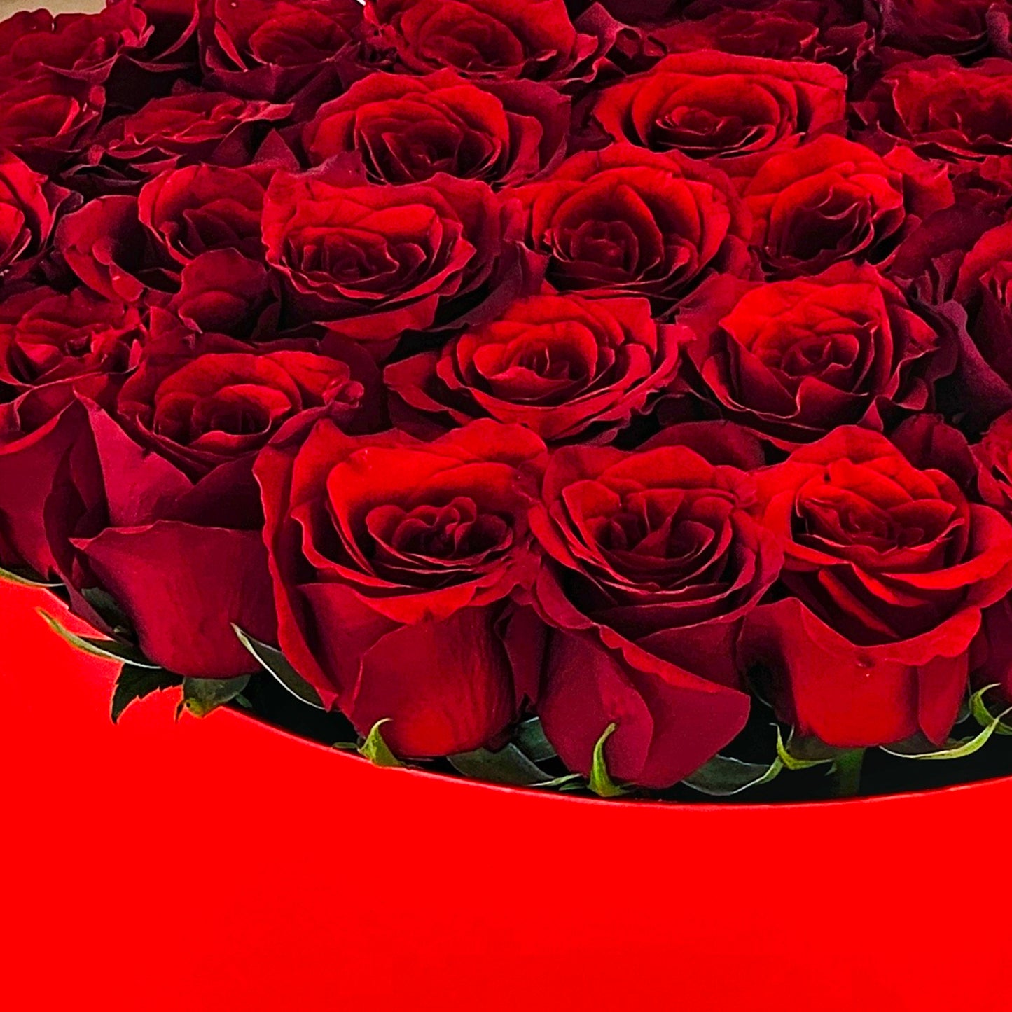 Red roses in box
