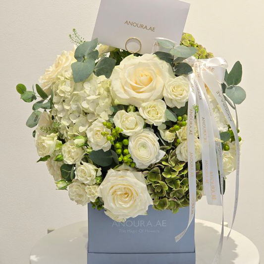 White Elegance in Blue Box