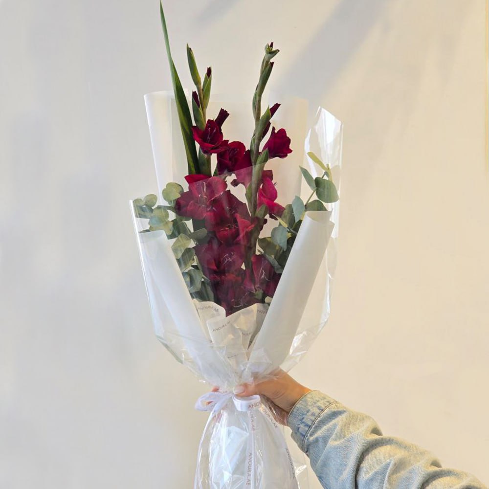 Red Gladiolus
