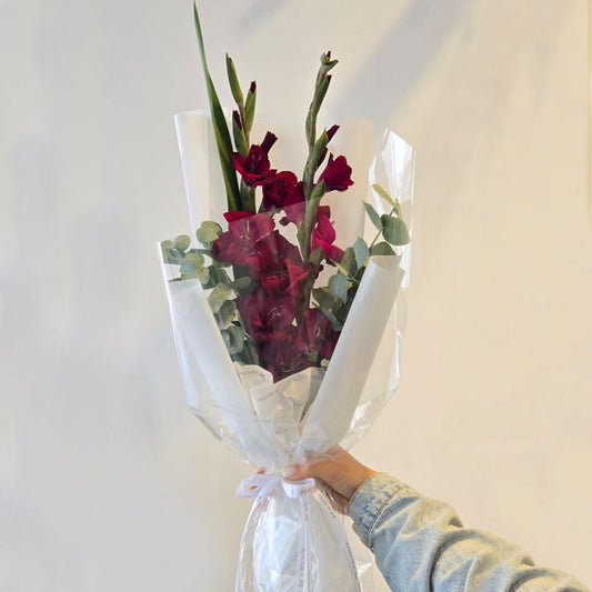 Red Gladiolus