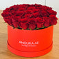 Red roses in box