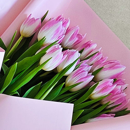 20 Pink Tulips